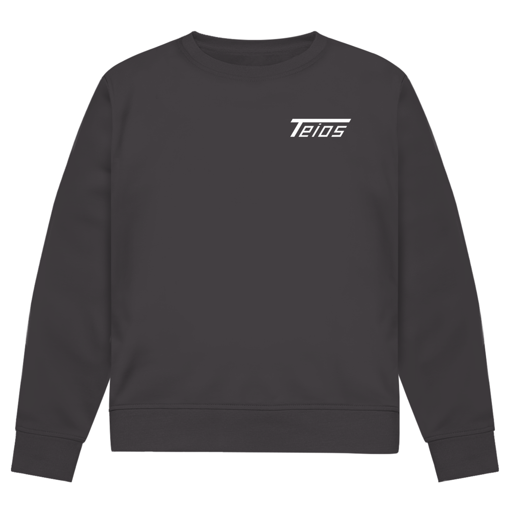 sweatshirt | premium | frontprint teios logo
