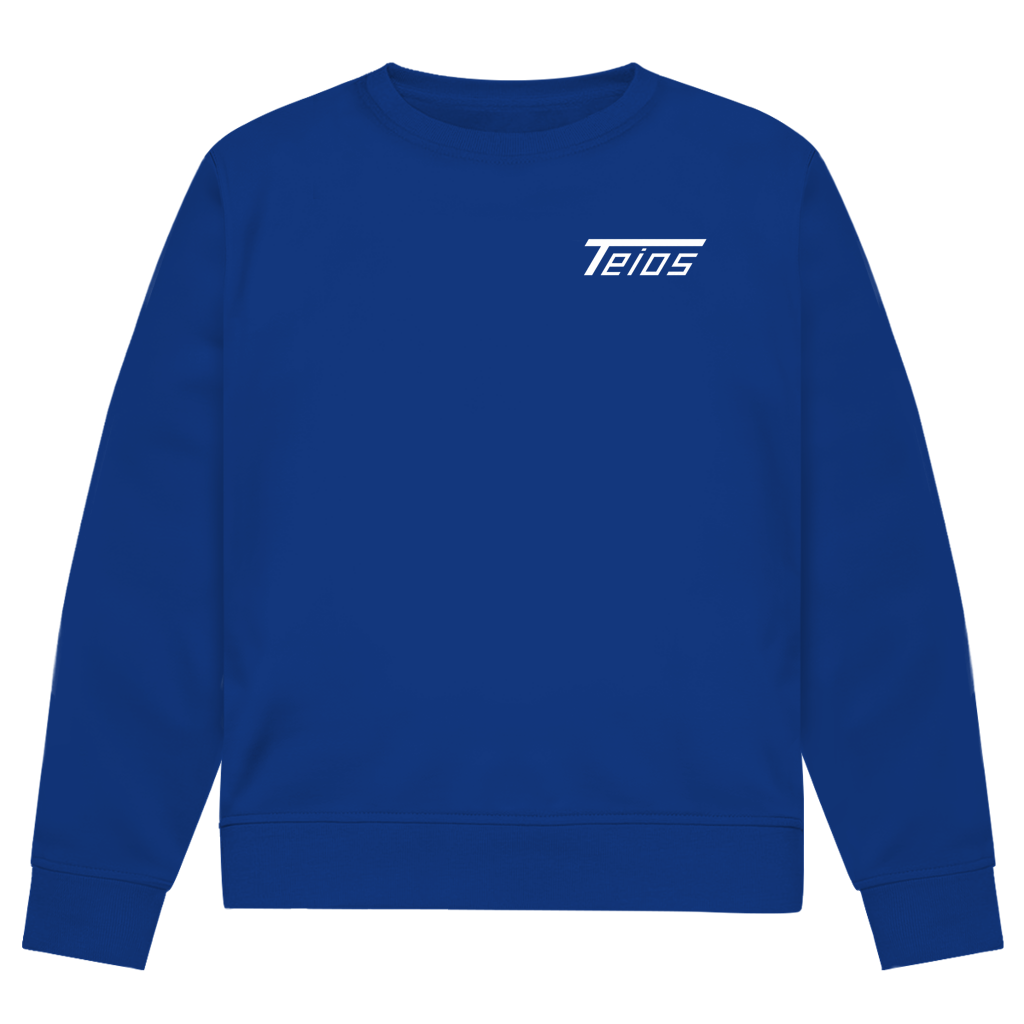 sweatshirt | premium | frontprint teios logo