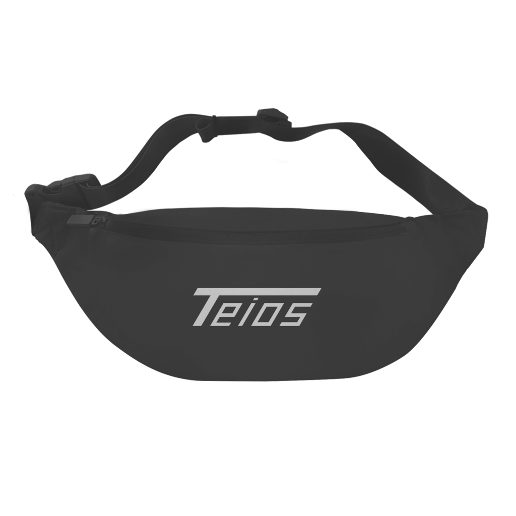 bauchtasche | bag | frontprint teios logo