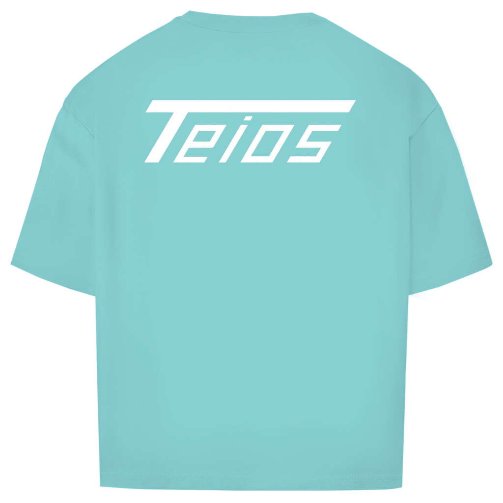 shirt | oversize | backprint teios logo /w