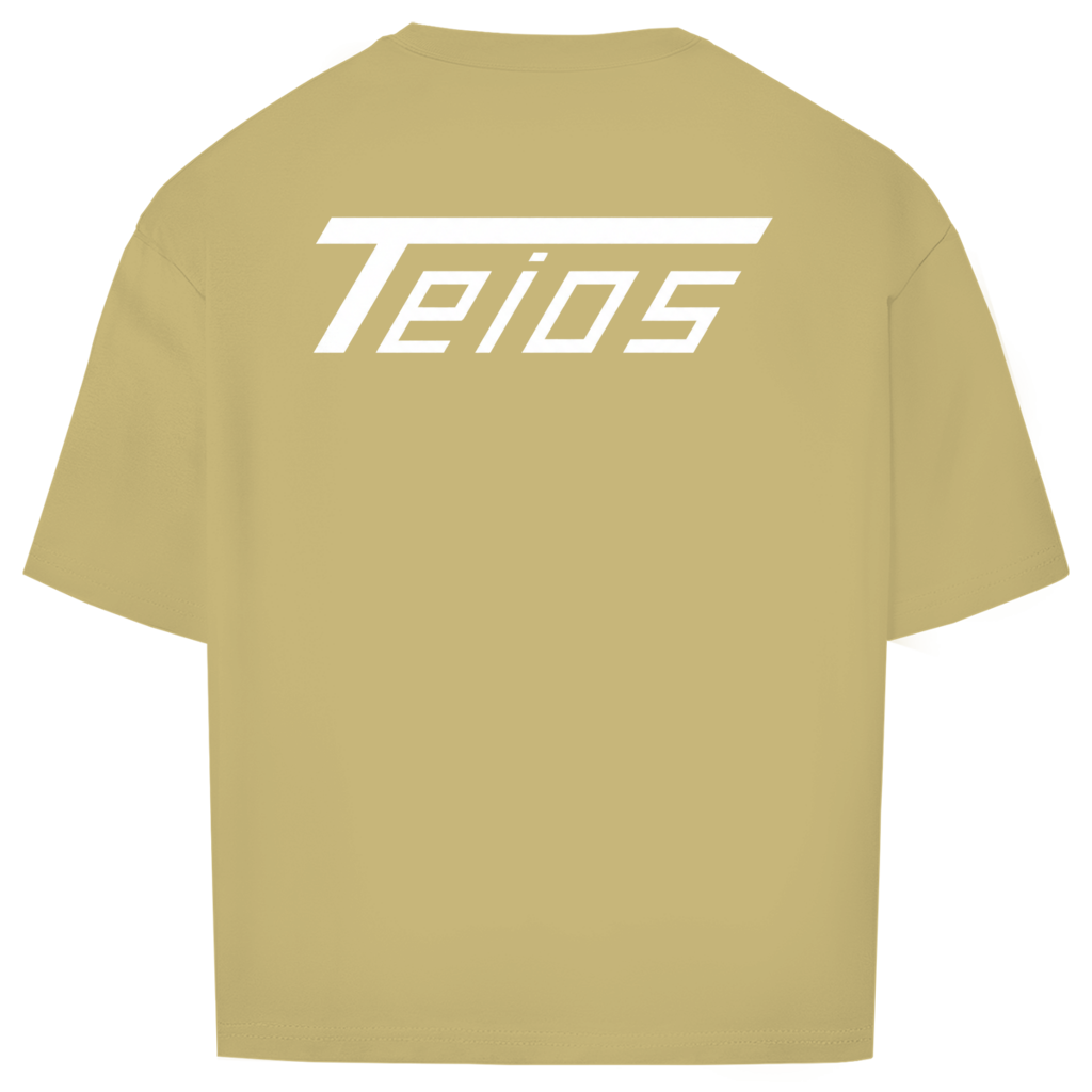 shirt | oversize | backprint teios logo /w