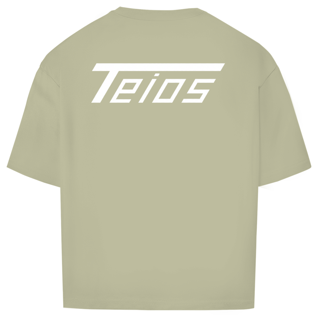 shirt | oversize | backprint teios logo /w