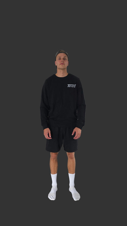 sweatshirt | premium | frontprint teios logo